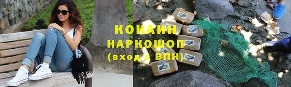 шишки Аркадак