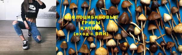 2c-b Армянск