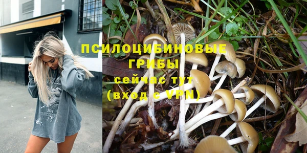 шишки Аркадак