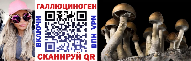 дарк нет состав  Баксан  Галлюциногенные грибы Cubensis 